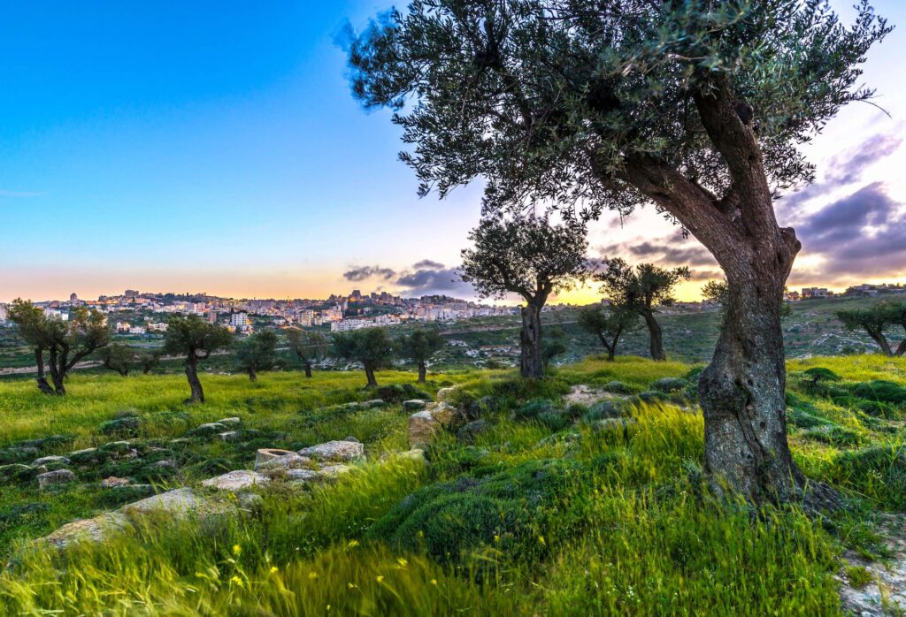 Biblical Israel Bethlehem CBN Israel