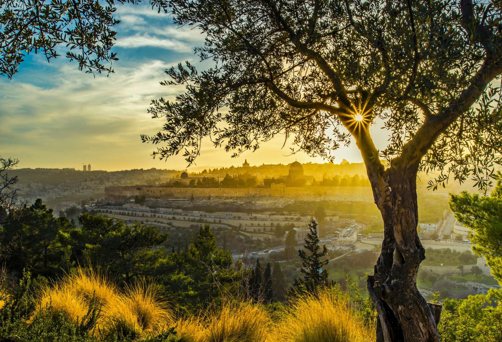 Tu B’Shvat Celebrating Nature CBN Israel