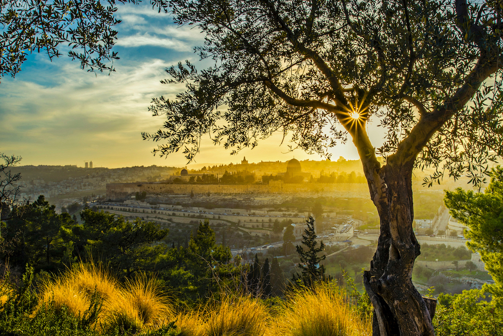 What Events Took Place On The Mount Of Olives