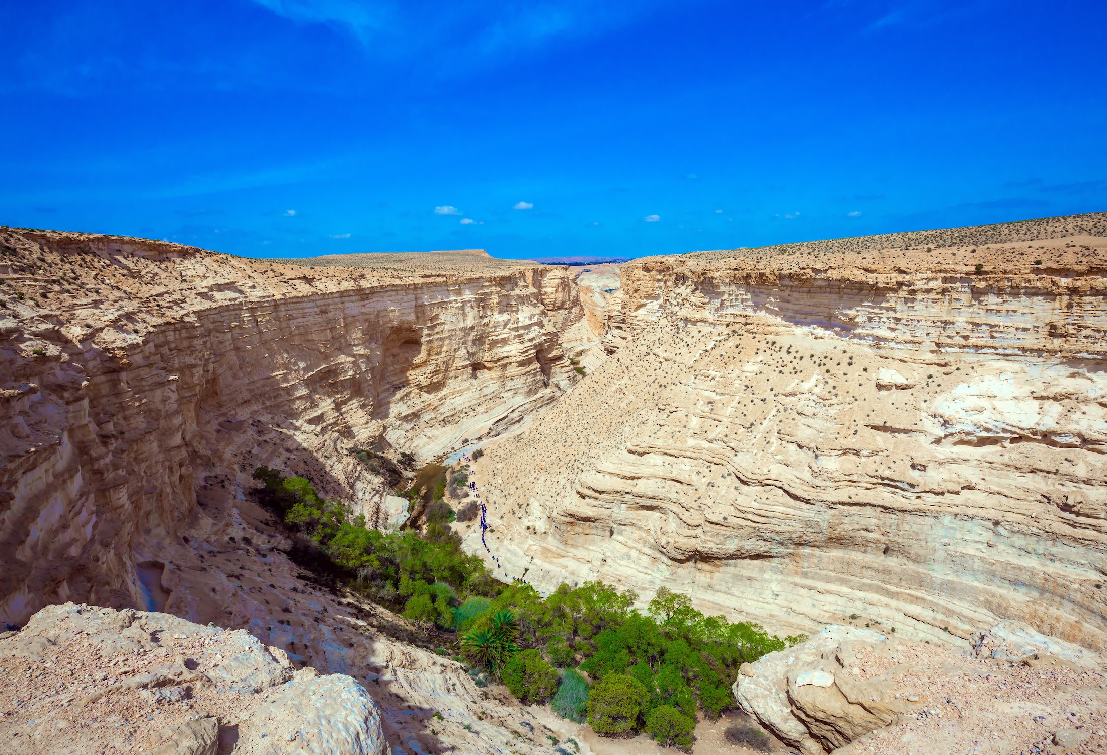 Biblical Israel Wilderness Of Zin Cbn Israel