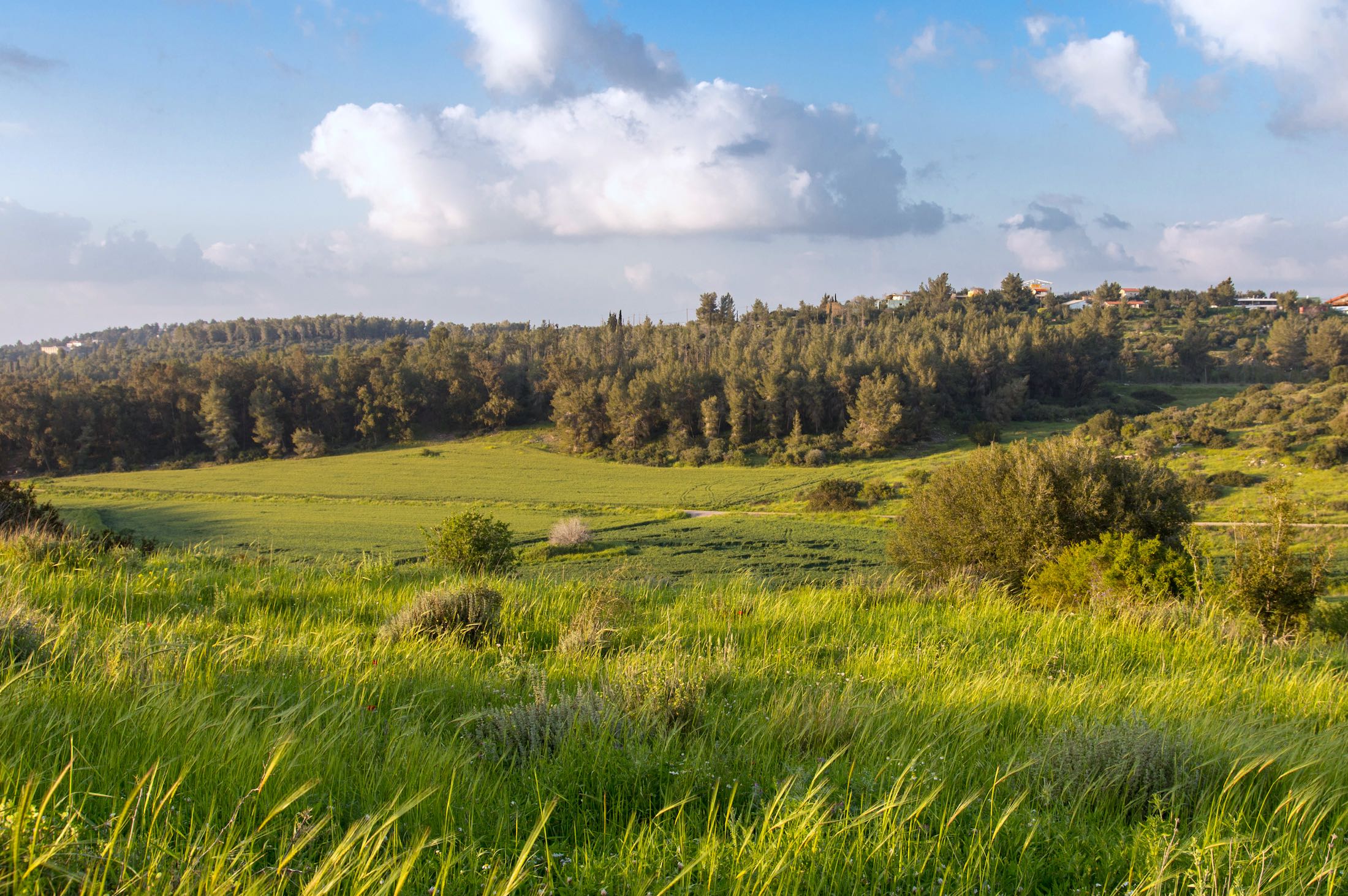Biblical Israel: Elah Valley - CBN Israel