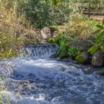 Dan River in Dan Nature Reserve, largest  tributary of Jordan River, emerges from Tel Dan & is fed by rains  & snow melt from Mount Hermon, located in Upper Galilee, on northern border of Israel