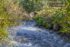 Weekly Devotional: When Living Water Flows