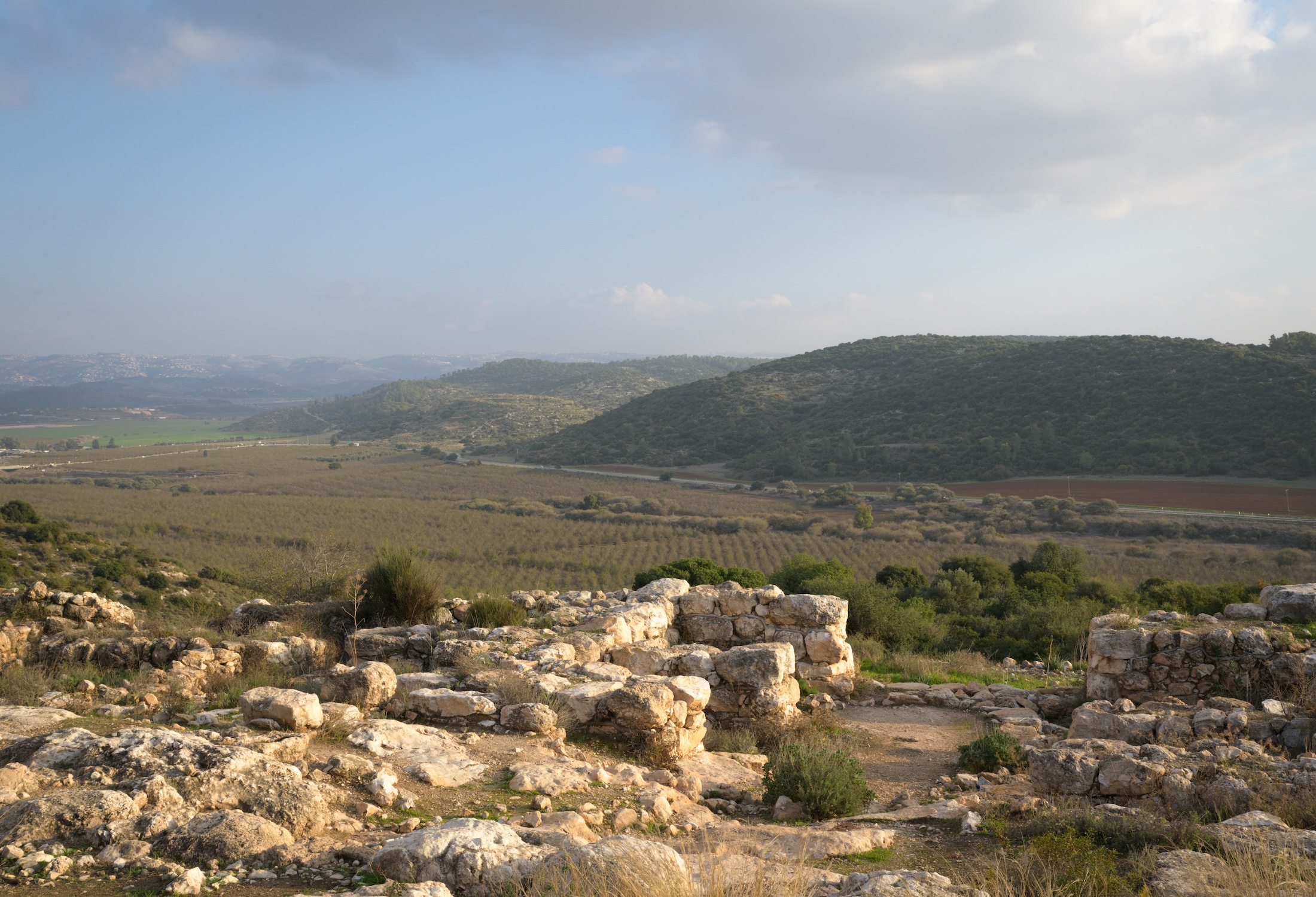 The Elah Valley: Where Faith Faced Fear