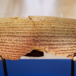 2025 07-03 Does the Cyrus Cylinder Hold Hope for Today's Jewish Community in Iran_ - Arlene Bridges Samuels