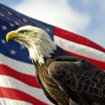 North American Bald Eagle with American flag
