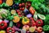 Fresh Food and Fresh Hope for Families in Crisis