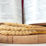 Wheat ears and bread with open holy bible book on wooden table. Close-up. Spiritual food, Christian harvest, biblical concept.