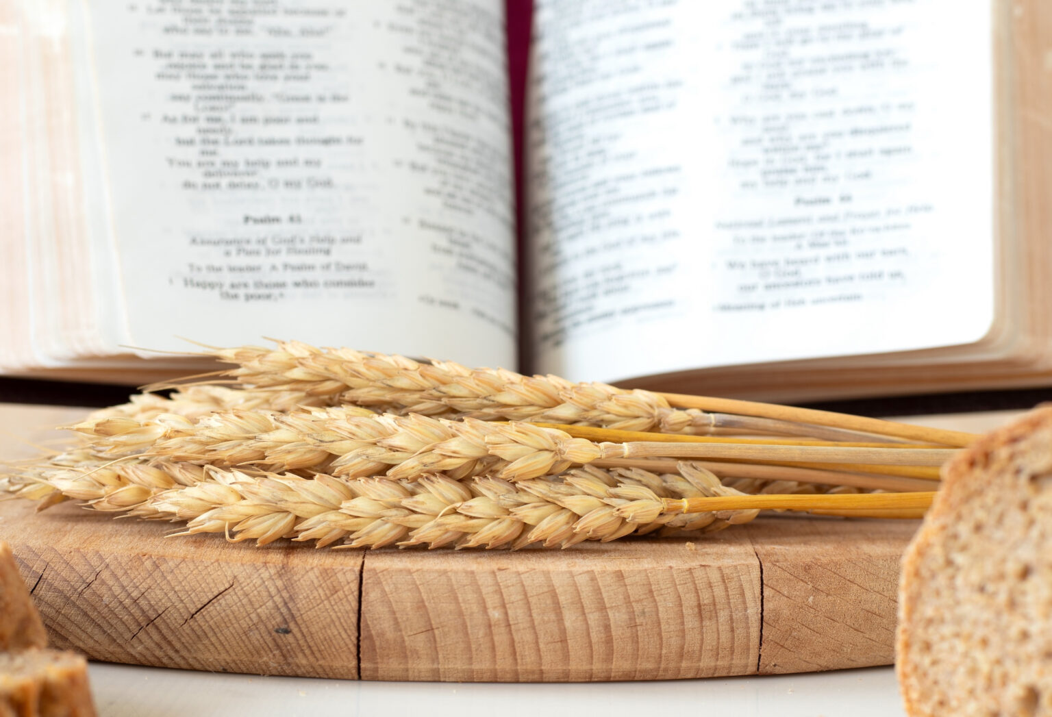 Torah Reading Devotional: Parashat Ki Tavo (כִּי־תָבוֹא) “When You ...