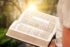 Weekly Devotional: Learning to Live the Word