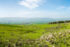 Jezreel Valley: Where God Sows