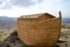 Torah Reading Devotional: Parashat Noach (נֹחַ) “Resting”