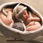 2025 11-21 Parashat Toldot - Generations