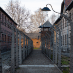 Untitled design (53)