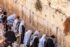 Parashat Emor (אֱמֹר) “Say”