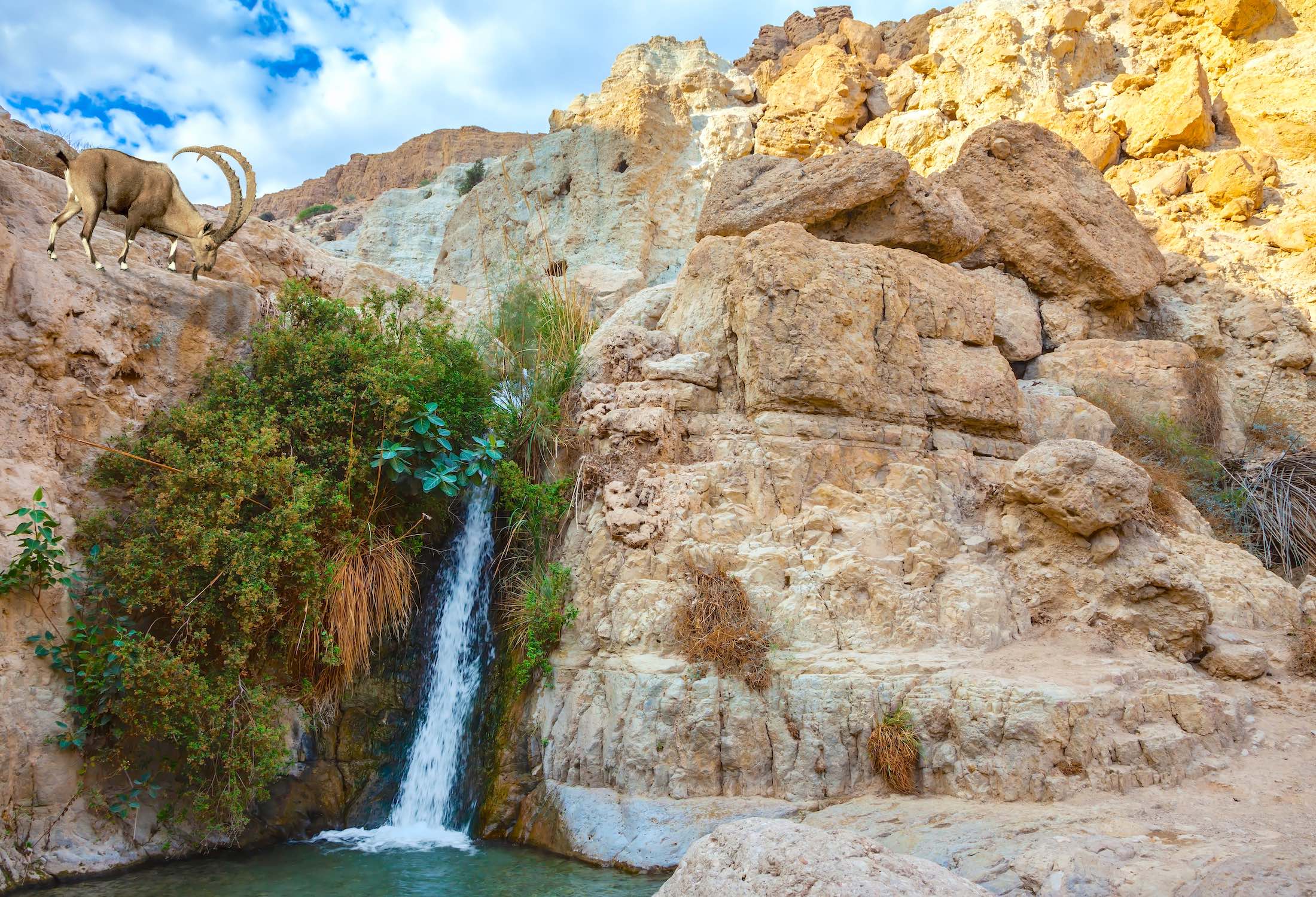 Streams in the Desert at Ein Gedi