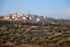 Judea and Samaria: The Battle Over Israel’s Biblical Heartland